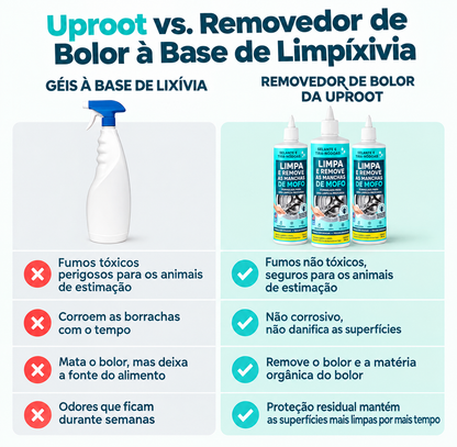 Removedor de manchas e bolor